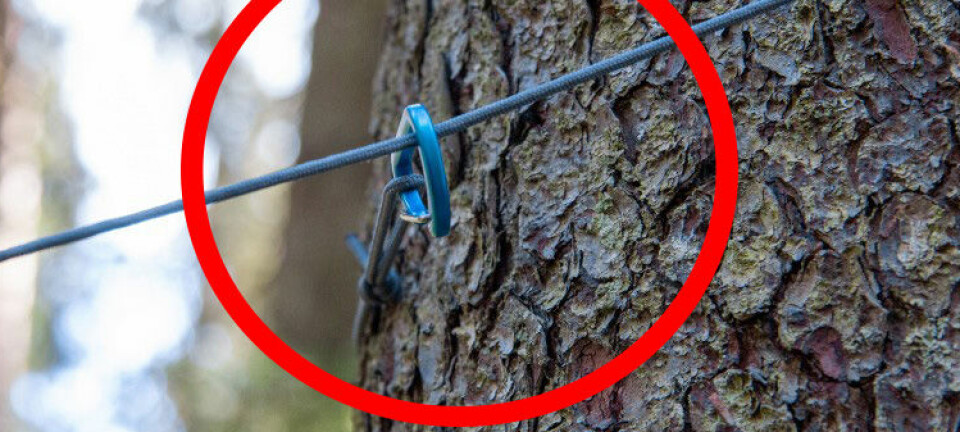 Tenk på dette neste gang du henger opp hengekøyen