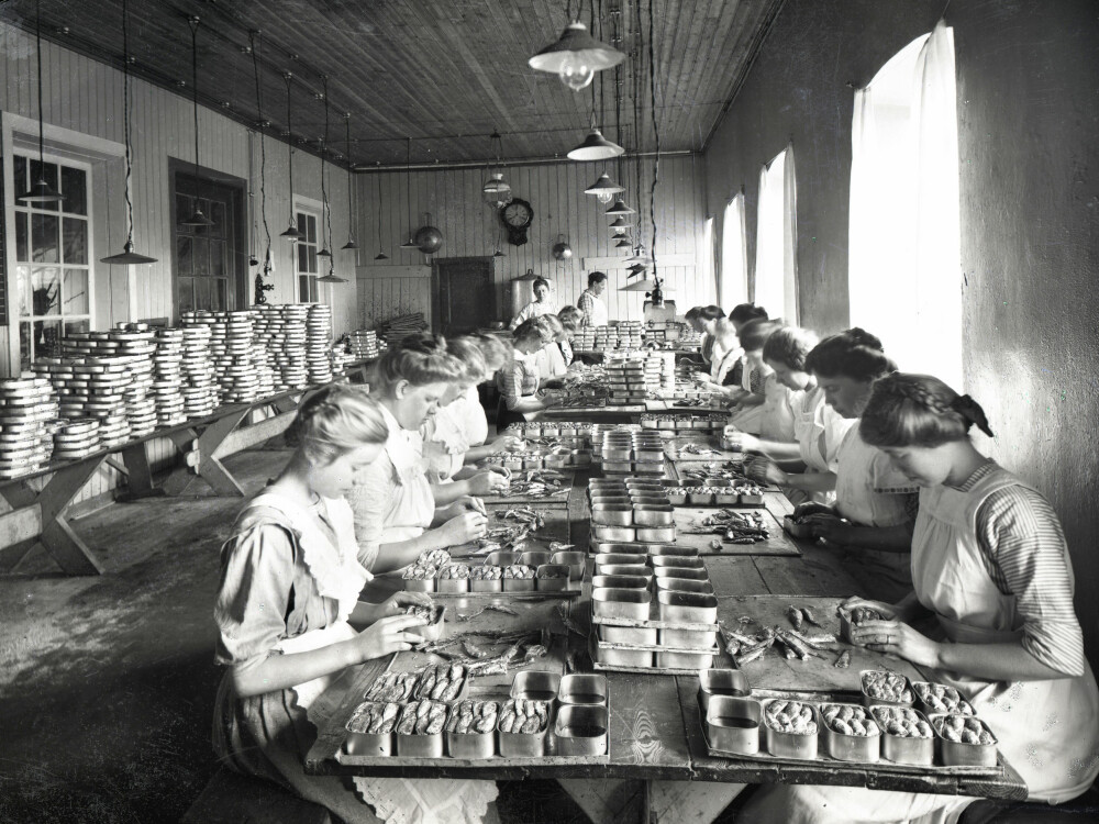 <b>KVINNER I ARBEID:</b> Fra leggesalen i Egelands hermetikkfabrikk i Stavanger rundt 1910.Foto: H. Johannessen/Stavanger Byarkiv