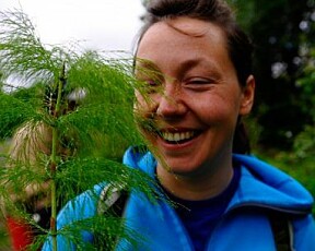 <b>VANSKELIG Å FJERNE</b>: – Det beste er å fjerne lupinene før de rekker å lage frø, sier Honorata Kaja Gajda som er daglig leder i Norsk Botanisk Forening.