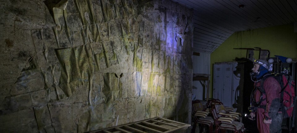 Forbløffende nazi-spor under jorden i Oslo: – Dette får nakkehårene til å reise seg