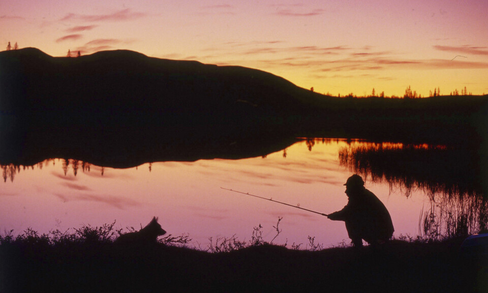 Fiske med spinner fungerer hele den isfrie perioden. Som under alt ørretfiske er kvelden en bra fisketid, men ørreten har bettider også midt på dagen/ettermiddagen. Spinneren kan være et godt valg under ørretfiske i mørket. Den kan da fiskes nær land, i eller like under overflaten. Spinneren gir korte kast i motvind, så finn en plass der det er medvind eller sidevind.