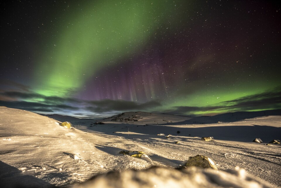 VAKKERT: Nordlys er den visuelle effekten av elektrisk ladede partikler som slynges fra solen mot jorden, og danner lys når de kolliderer med gassene i vår atmosfære. Ved solstormer forekommer de hyppigere og sterkere.
