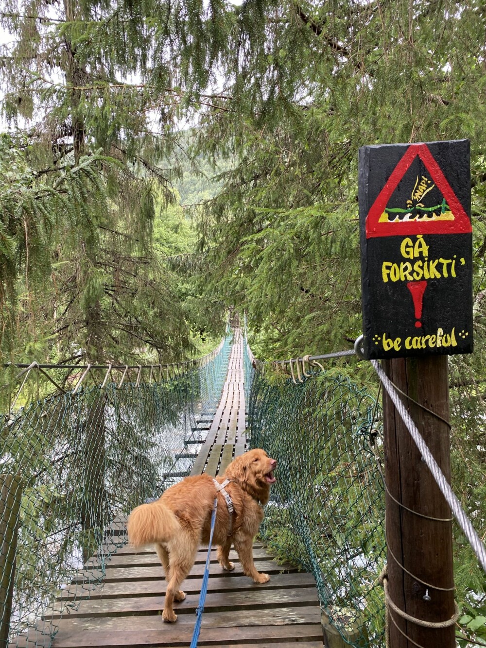 <b>HENGEBRO:</b> Bajas leser advarselen før han går over broa.