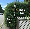 klippe-hekk-frisiktsone-regler-skal-du-gj-re-n-ting-i-hagen-n