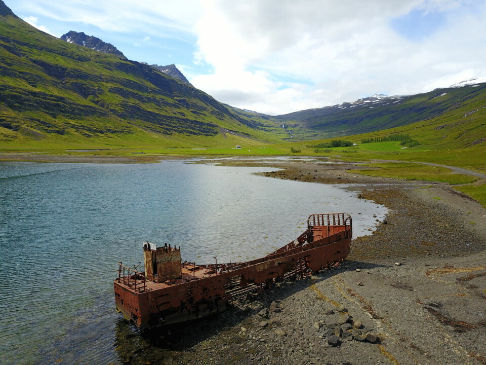 SMAL: Mjoifjordur er en 18 kilometer lang fjord på østkysten av Island. Langt inne i fjorden ligger vraket av et amerikansk landgangsfartøy (LCM).