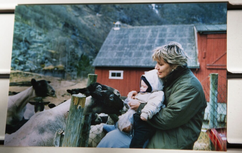 <b>HJEMME PÅ GÅRDEN:</b> – Her er sauene på Sælthun begeistret for å møte Roar for første gang i 1978.