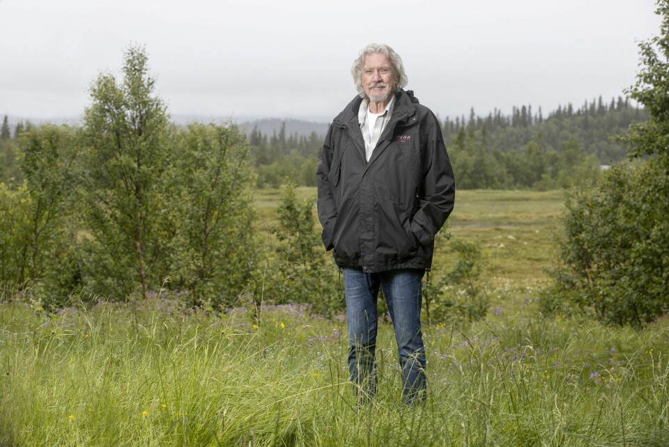 SAUEGJETING: – Det er synd dere ikke får hilse på sauene utenfor hytta, sier Benny og anslår at de er smarte nok til gjemme seg i regnet.