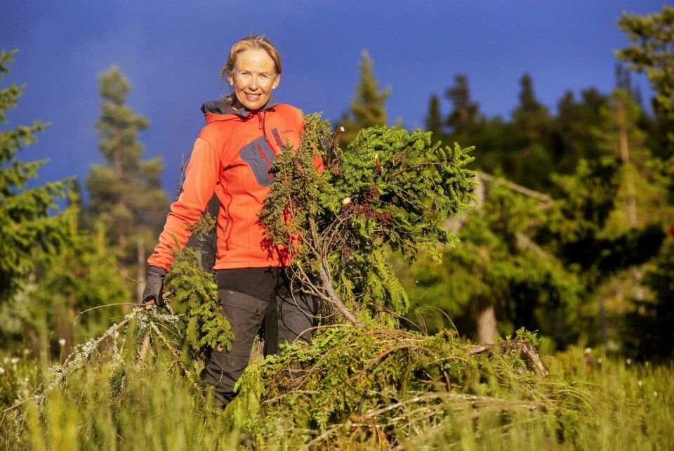 ARBEIDSJERN: – Kvistsanking og brenning er en av mine mange, trivelige «hobbyer» når vi er på hytta, forteller Gerd Helene.