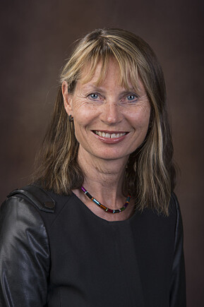 TRENGER MER FORSKNING: Professor Kari Bø.