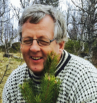 Vær for­sik­tig. In­gen bør set­te i gang med å fel­le sto­re trær rundt hyt­ta si, uten å ha noen er­fa­ring eller opp­læ­ring om hvor­dan man gjør det, ad­va­rer senior pro­sjekt­le­der Geir Myk­le­stad i Skog­kurs.