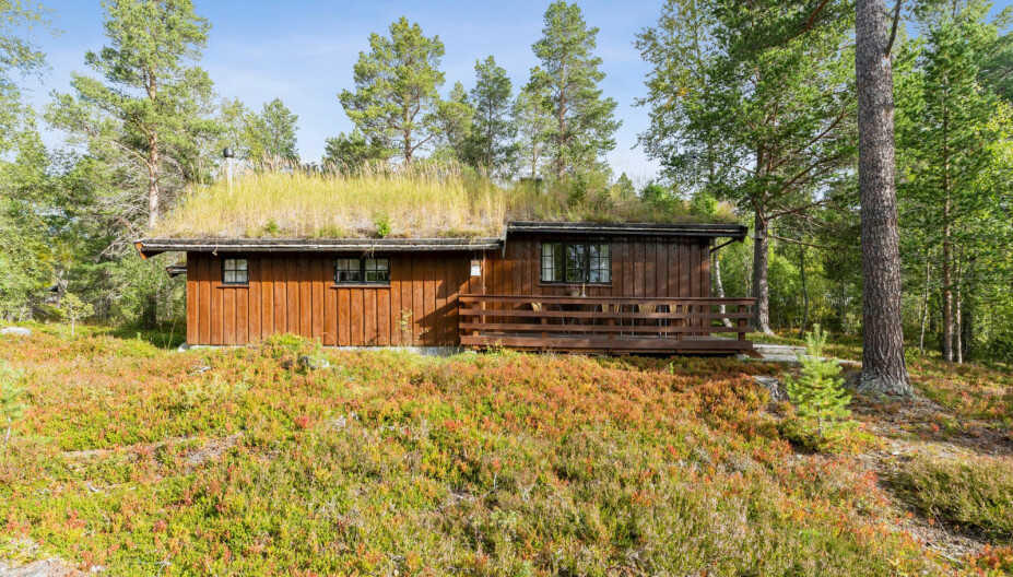 UNDER EN MILLION: Denne 77 m2-hytta i Renebu nord for Oppdal har en prisantydning 900.000. Tomt på 1005 m2.
