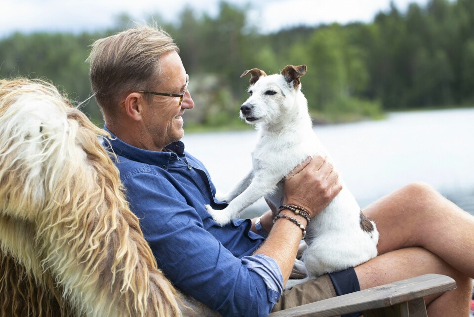 TROFAST FØLGESVENN: 15 år gamle Vera var skilsmissehund, og Halvor delte omsorgen 50–50 med eksmannen. Jack Russell terrieren koser seg her med matfar på hytta. Vera sovnet inn i pappas armer 25. juli i år, etter at dette bildet ble tatt.