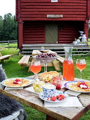 Sommerstid kan du nyte skogens ro på gårdskafeen ved Osensjøen. Julie server vafler og annen bakst over disk fra stabburet på sitt eget gårdstun. 
