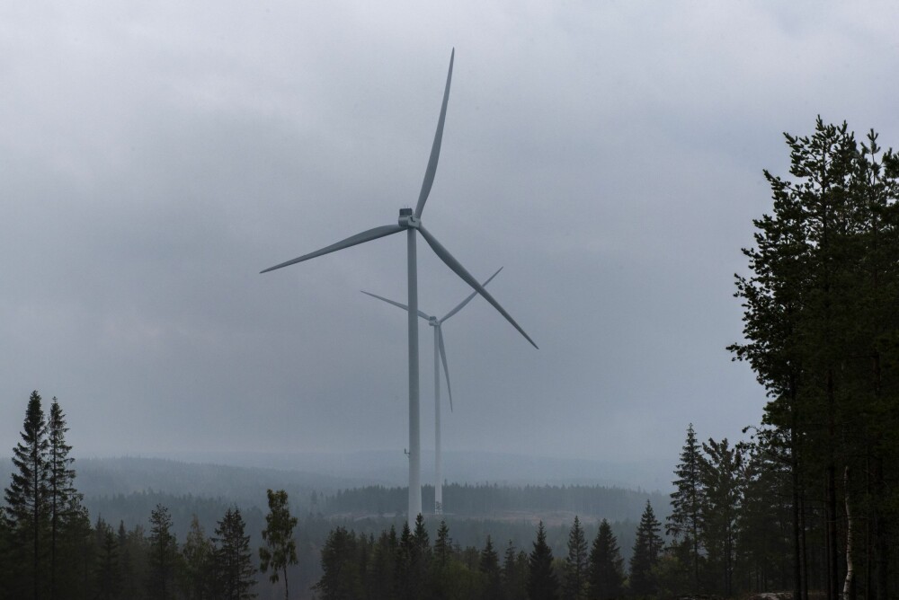 <b>RAGER OVER SKOGEN:</b> 15 vindturbiner markerer grensen mot Sverige i skogen rett øst for Ørje.