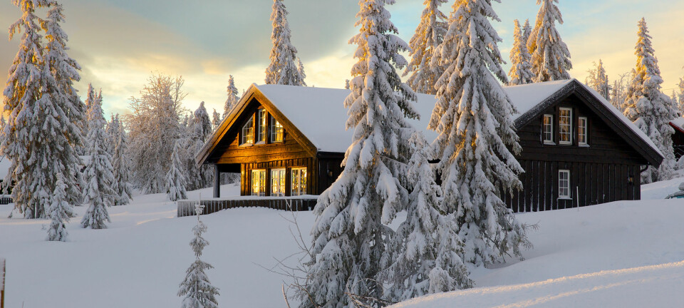 Endelig kjøpte vi hytta jeg hadde drømt om. Men den holdt på å ta knekken på oss