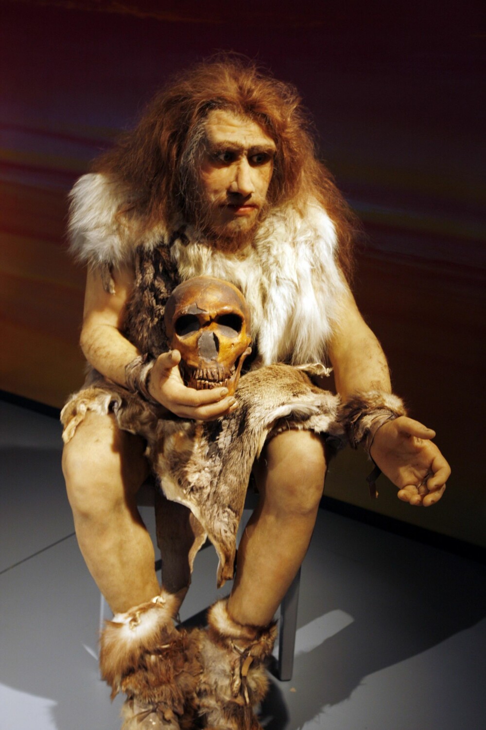 <b>STERKE OG SULTNE:</b> Slik ser Naturmuseet i Salzburg i Østerrike for seg at neandertalerne så ut i Europa. De var slett ikke dårlig skodd for å møte Homo sapiens eller kulde. Likevel døde de ut.
