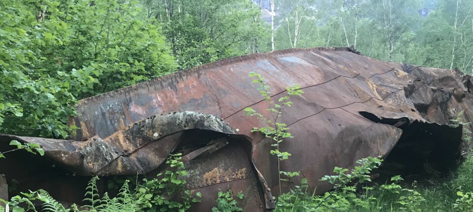 En av de verste naturkatastrofene som har rammet Norge: Bare pinneved var igjen