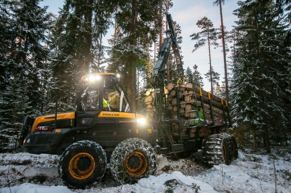 UTFORDRING: Det er særlig lastbærerne som frakter tømmeret ut av skogen som utgjør en utfordring for skogbunnen.