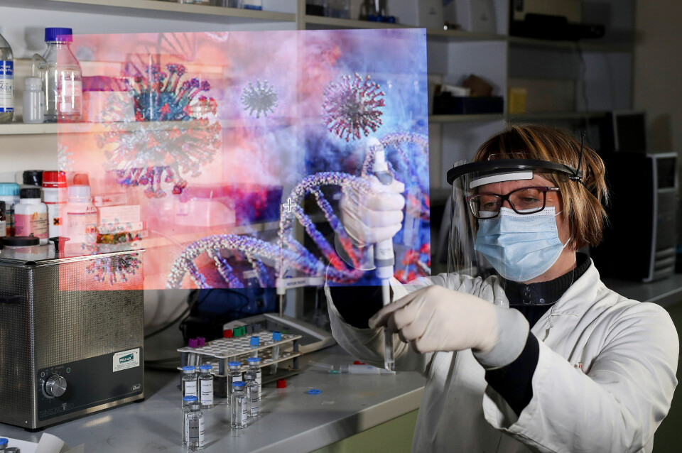 Slik virker vaksinen