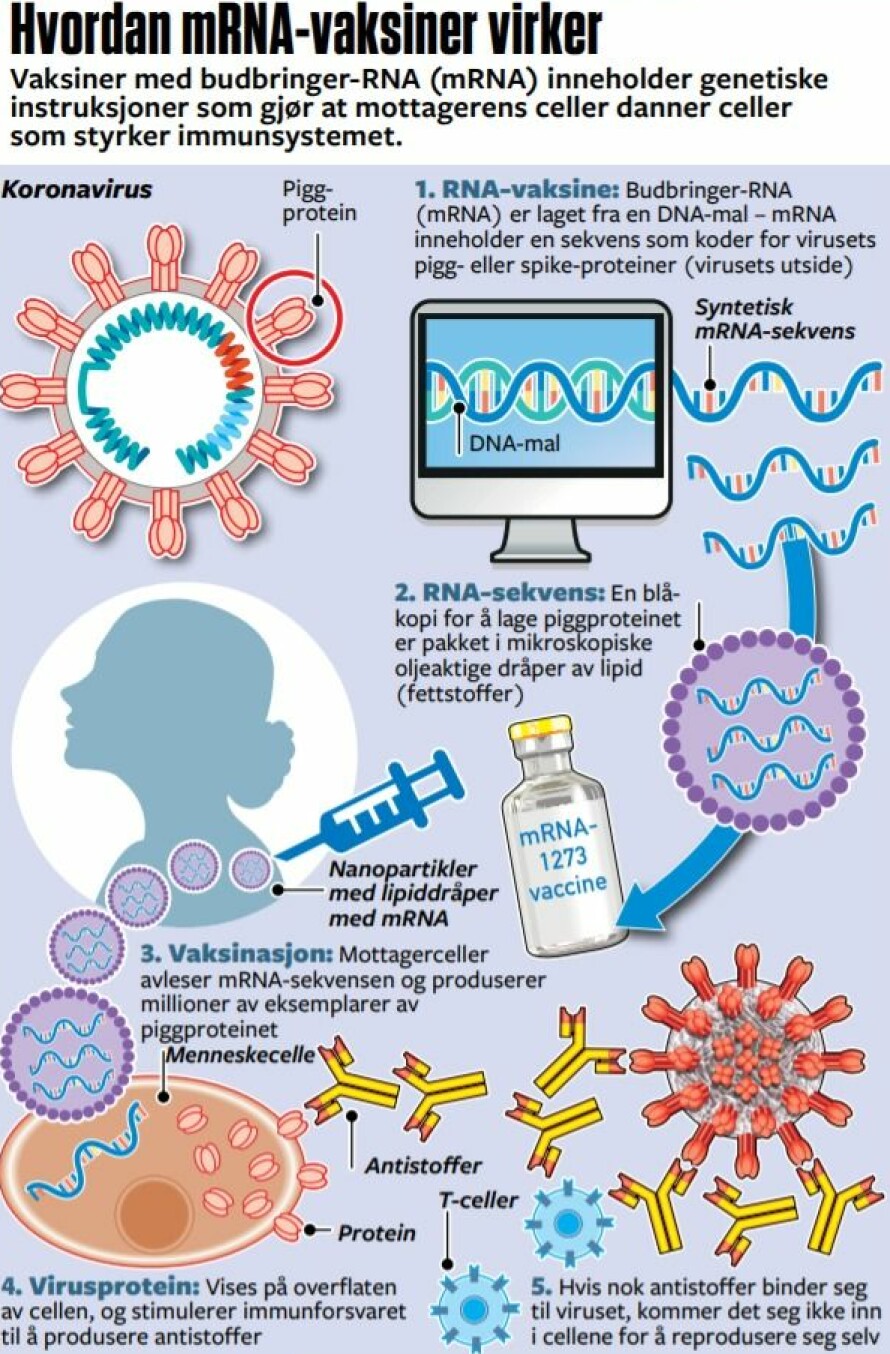Slik virker vaksinen