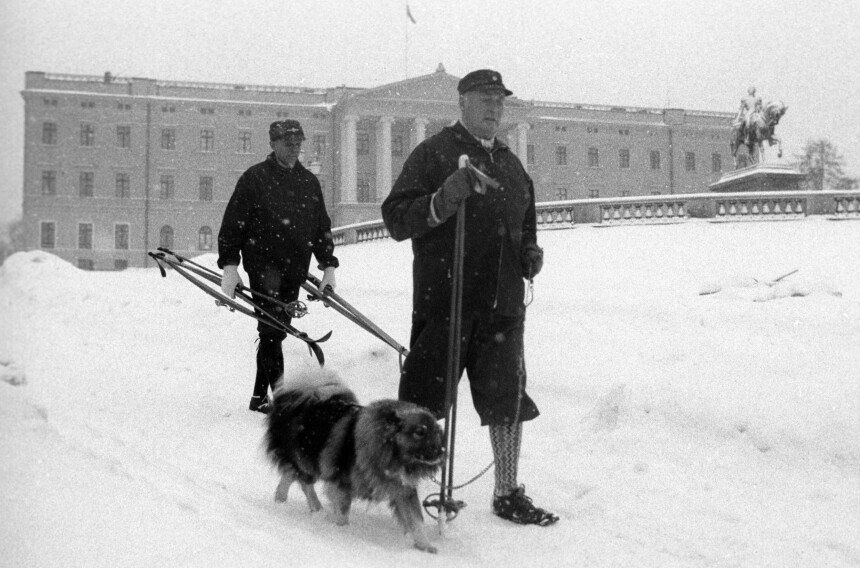 FOLKEKONGEN: Kong Olav tok hensyn til kjøreforbudet under oljekrisen, men på ski ville han. Her på veg ned til Nationaltheatret en vintersøndag i 1973 for å ta trikken til Holmenkollen.