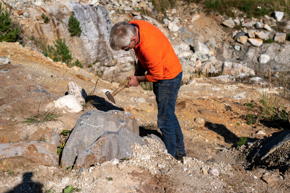 BARE Å LETE: En tydelig avgrenset malmsone er rensket for vegetasjon ved gruven på Våland. For hobbygeolog Jens Christensen og andre kyndige er det lett å finne mineraler. Men gull...?