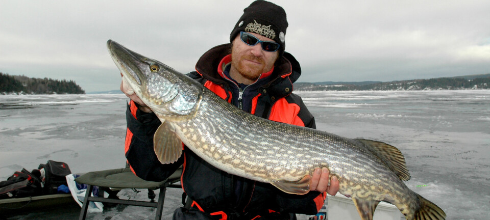 Fiske-ekspert Cato Bekkevolds ti beste plasser for isfiske
