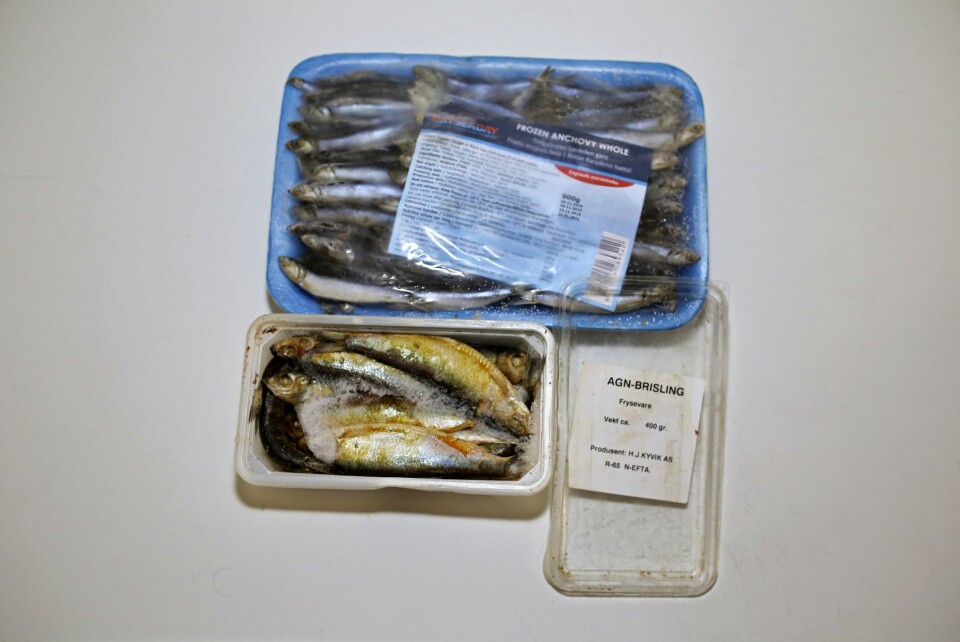 Agn: Skal du fiske med agn trenger du naturlig nok agnfisk. Brisling eller strimler av makrell lokker gjerne sjøørreten til hogg.