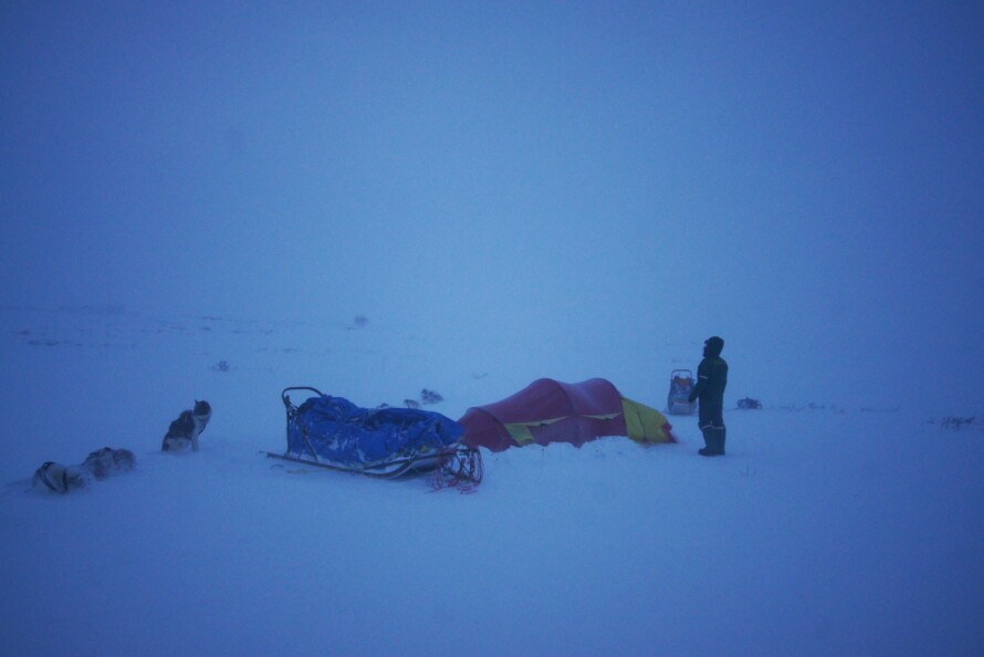 VÆR OPPFINNSOM: En stor ekspedisjonsslede kan også brukes som le for teltet.