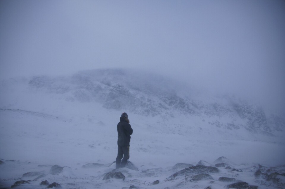 SØK LY: Vi mennesker kan klare oss i fjellet i all slags vær, men vi må ha ly!