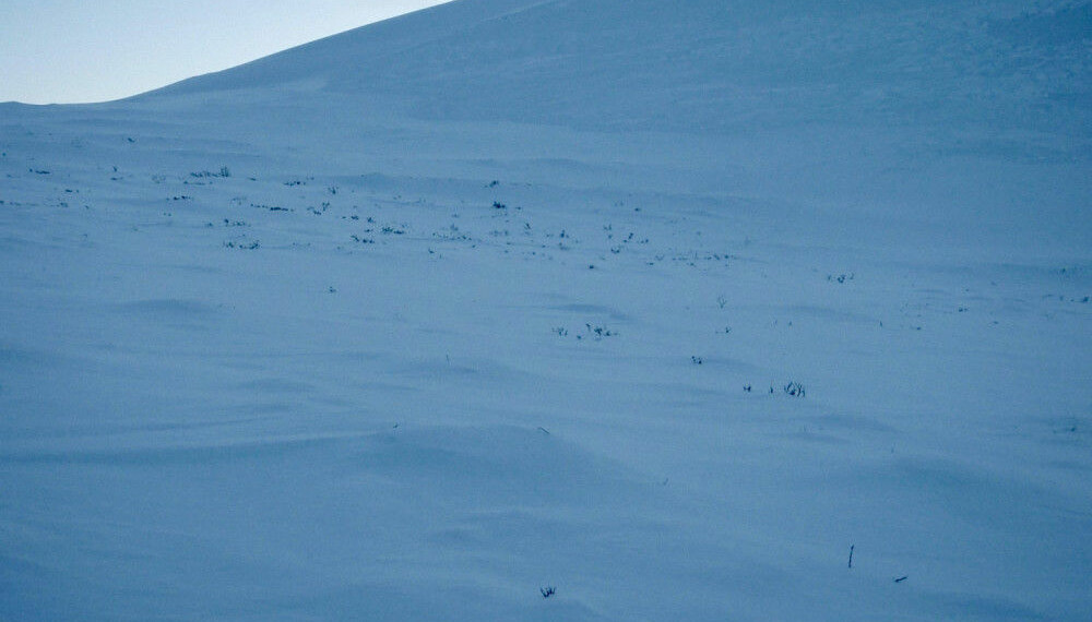 HVITT MARERITT: Kjell Hanstad ble tatt av snøskred i fjellsiden på Naidon ved Altevatn.