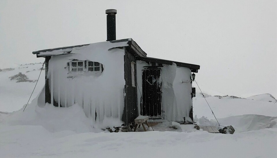 TETT PÅ NATUREN: Hva med å overnatte på 1300 meters høyde i Hallingskarvet Nasjonalpark?