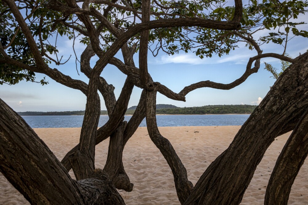 <b>ALENE:</b> 10–15 minutters gange fra det sentrale området i Alter do Chao kan du finne din helt egen strand.