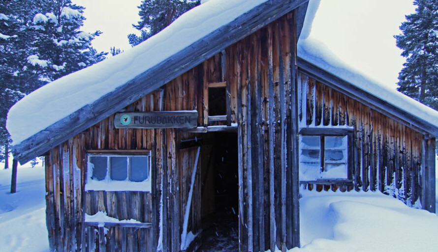 STATSKOG-HYTTA FURUBAKKEN: Denne åpne hytta på 34 m2 kan du bruke gratis når som helst.