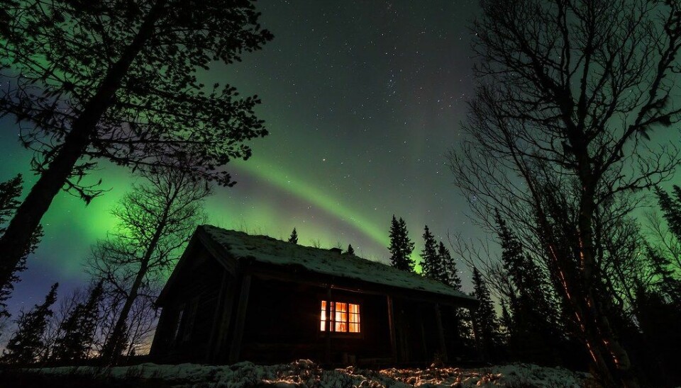 SEISJØEN SKOGSTUE: Statskoghytta i Nord-Trøndelag kan bookes for 700 kroner/døgnet, inkludert båt.