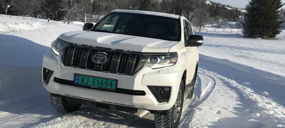 I et år da enormt mye vil dreie seg om elbiler, er den nærmest for en raritet å regne