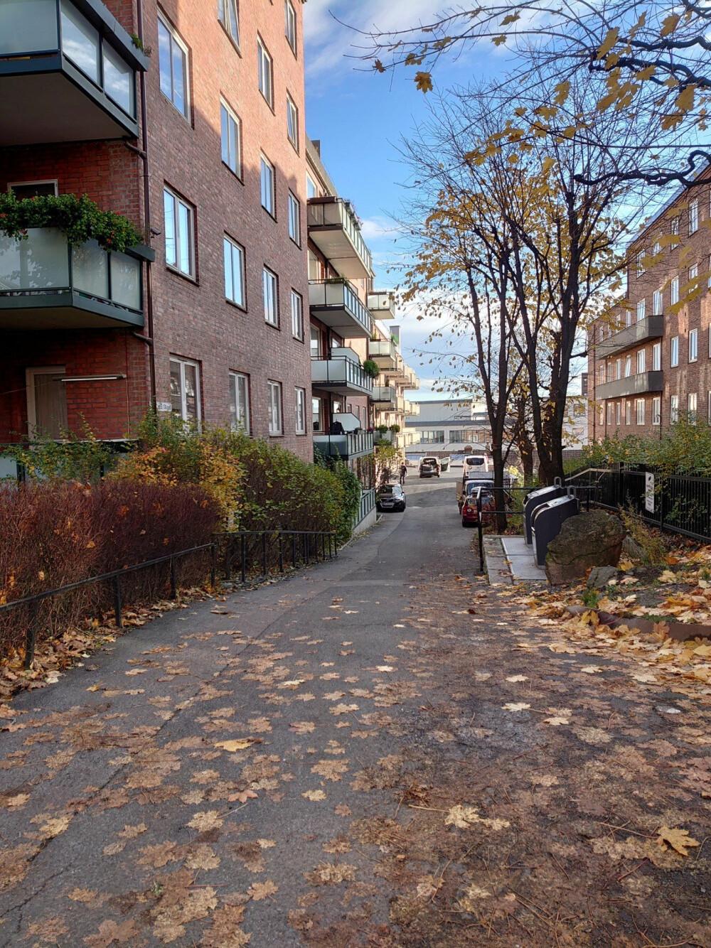 <b>HJEMMET:</b> Her i Rosenborggaten 15 bodde Ellinor Meiran. Arne Koksvik bodde i blokken ved siden av.