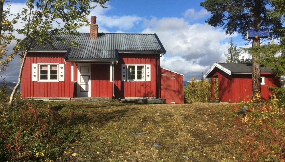 ENKELT HYTTEPARADIS: Familien Hansens hytte på Ål har solcellepanel i furuen på tomta.