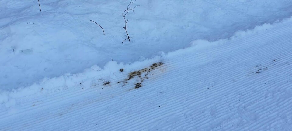 «Pappa, pappa. Vilma har falt i en bæsj»