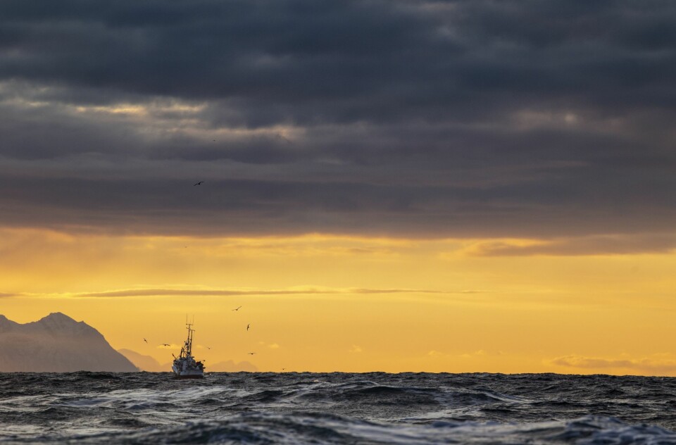STADIG FÆRRE: Havet er vakkert, men du skal vite hva du driver med når du drar ut i disse havområdene midtvinters på jakt etter skreien. Antallet som gjør det, går stadig nedover.