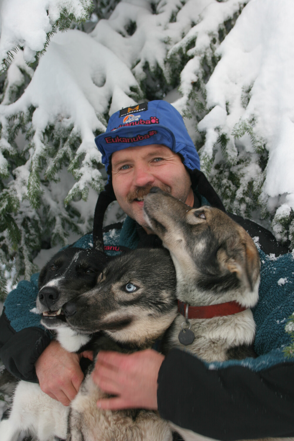 <b>NORSK VINNER:</b> Robert Sørlie har vunnet Iditarod to ganger. 