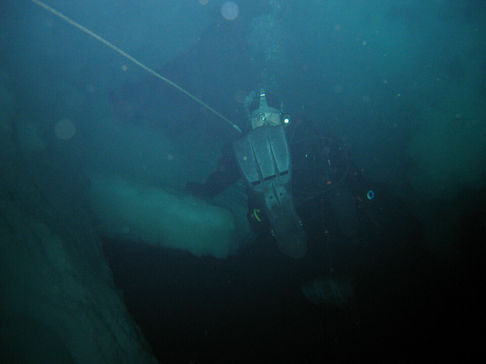 KALD FISK: Andreas Soløy fant forskernes skatter under isen.