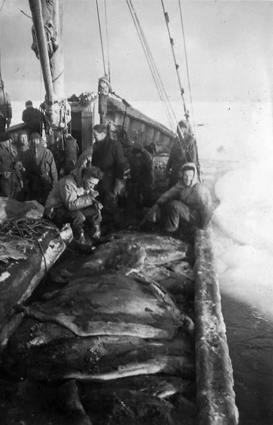 HARDHAUSER: Mannskapet på fangstskuta «Arild» i et rolig øyeblikk i Vestisen. I 1952 kjempet Marinius Antonsen (på rekka) og kameratene for livet i den drepende orkanen.