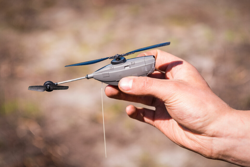 FLYVENDE ØYNE: PD-100 Black Hornet NUAS (nano unmanned aerial system) kameradrone benyttes av flere avdelinger i Forsvaret. Her av Kavalerieskadronen i 2. bataljon, under øvelse Saber Strike 16 i Latvia.