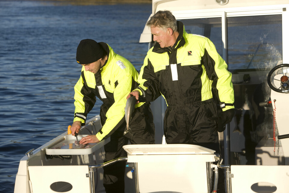 UTSTYRET I ORDEN: P66 Pilothouse er den av Askeladdens modeller best tilpasset fritidsfiske. Her er mange viktige detaljer en del av basispakken.