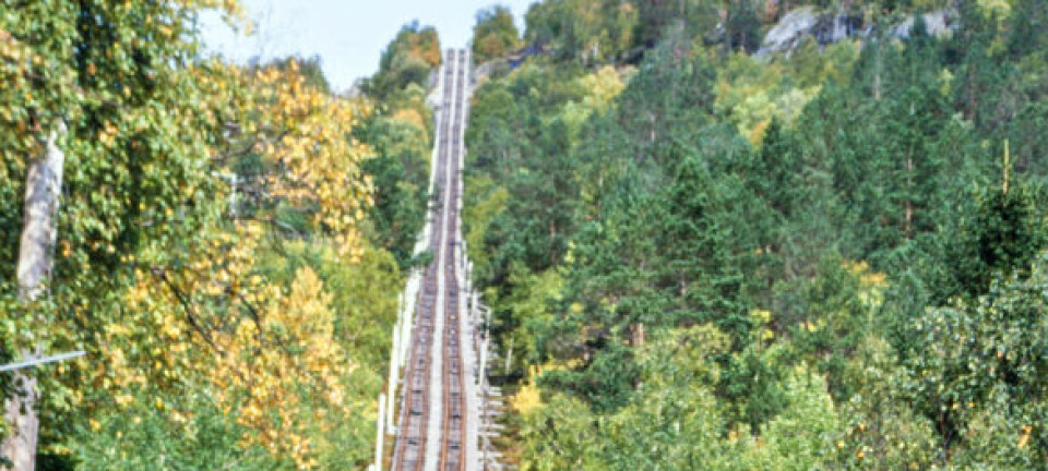 Den ufattelige ulykken endret livet til en hel familie for alltid