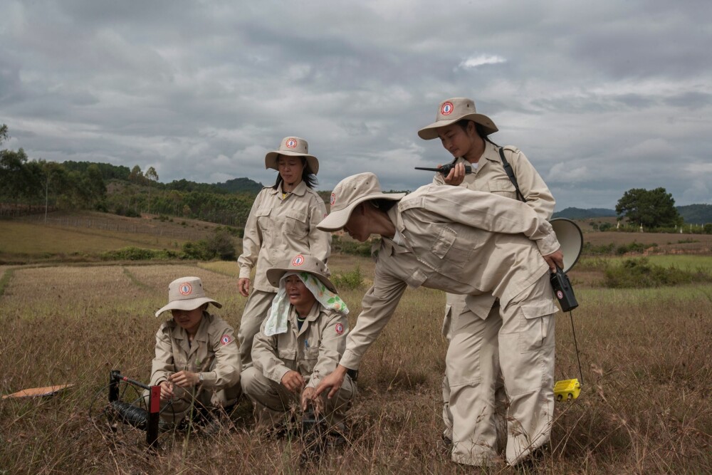 <b>MINERYDDERE:</b> En gruppe kvinnelige mineryddere rensker et landområde i Xieng Khouang, regionen i Laos som ble hyppigst bombardert i de ni årene med krig.