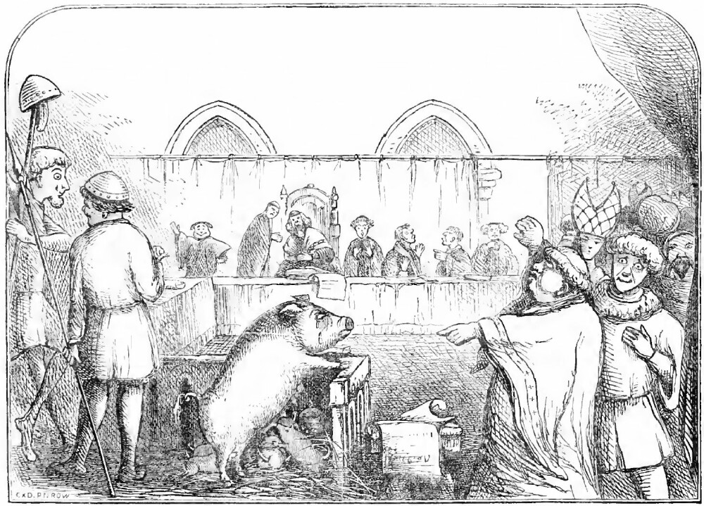 <b>TILTALT FOR SVINERI:</b> Gammel illustrasjon av rettssaken i 1386, der en purke ble dømt til døden. Saken mot hennes seks grisunger ble henlagt på grunn av bevisets stilling.