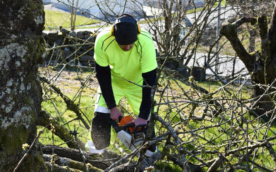 VIS HENSYN: Det er i utgangspunktet ikke greit å ta frem motorsagen eller andre støyende apparater på søndager og på helligdagene.