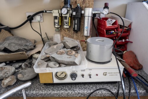 <b>HJEMMEUTSTYR:</b> Bildet viser utstyr brukt til å vaske, rense og klargjøre fossilfunn på kjøkken­bordet hjemme hos James Carroll. 